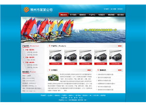 某某电子仪表模板