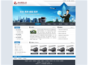 某某消防安全蓝色大气模板