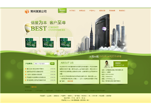 绿色环保净化模板